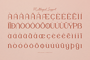 Noune | Modern Serif Font, a Serif Font by gracetype_studio (Thumbnail 11 of 12)