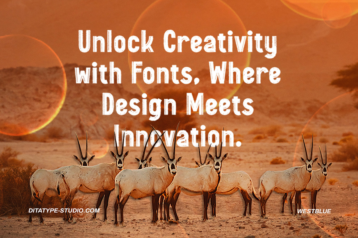 Westblue, a Sans Serif Font by Ditatype (Photo 7 of 10)