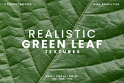 Realistic Green Leaf Textures, a Texture Graphic by Ary_ngeblur (Thumbnail 1 of 4)