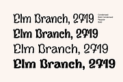 Forestory font, a Font by Michael Rafailyk (Thumbnail 3 of 10)