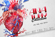 Collection of watercolor organs, a Decorative Illustration by Ekaterina Glazkova (Thumbnail 1 of 8)