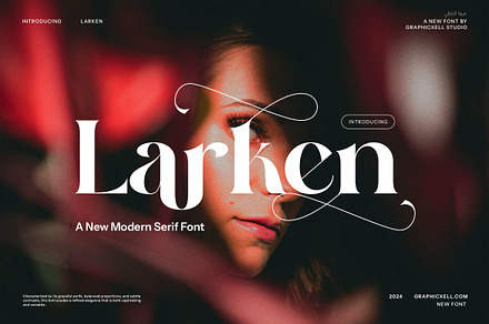 Larken Serif Font, a Serif Font by Graphicxell