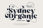 Molra Beauty | Elegant Serif Font, a Serif Font by HansCo Studio (Thumbnail 7 of 12)