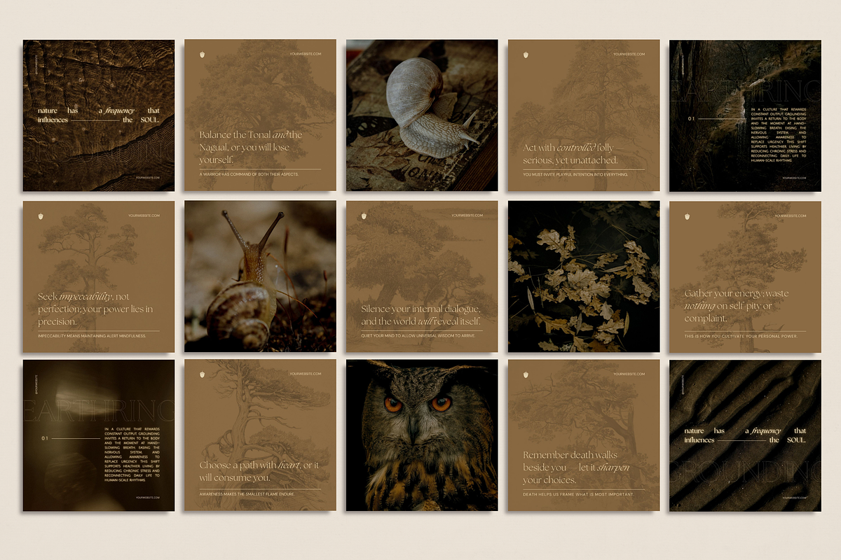 The Naturalist Social Media Bundle, a Social Media Template by The Flossy Finch (Photo 13 of 22)