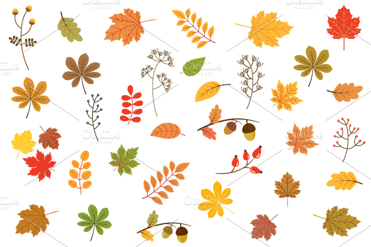 Autumn leaves clipart set, a Seasonal Illustration by Pravokrugulnik (Photo 1 of 2)