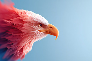 Majestic eagle displaying vivid colors against a blue background, an Animal Photo by AlyaAnd