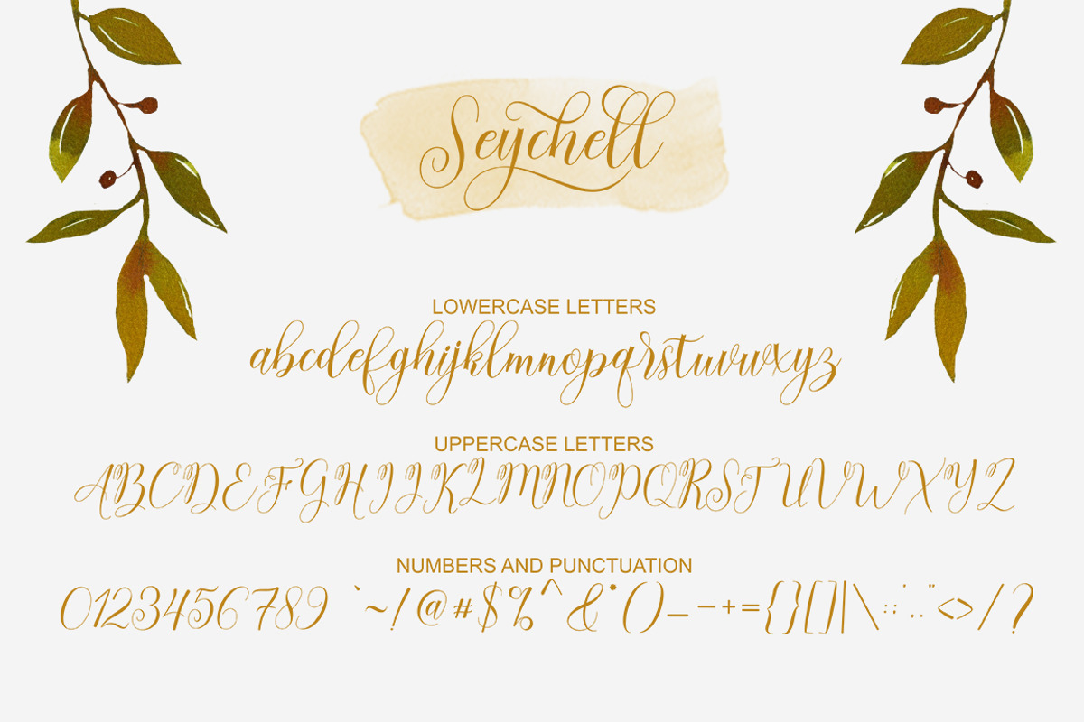 Seychell  Script, a Script Font by Rotterlab Studio (Photo 5 of 8)