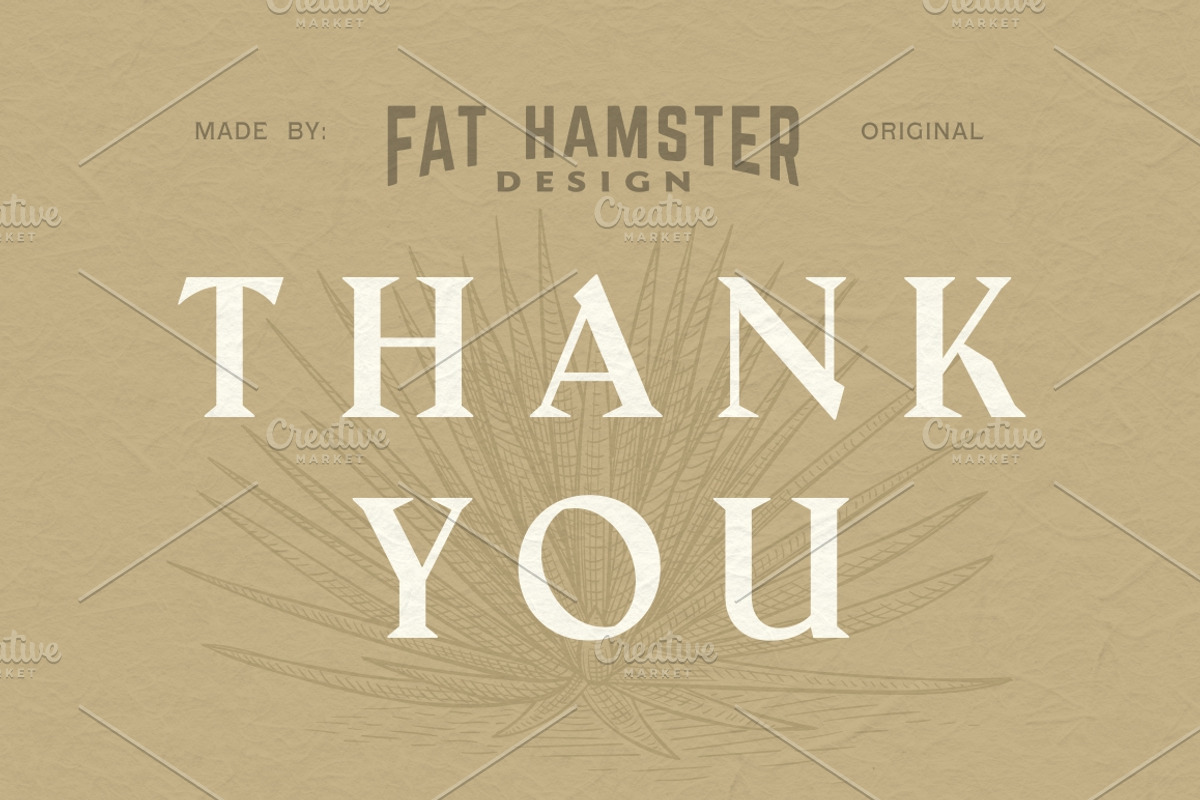 Agave hand drawn vector illustration, an Illustration by Fat Hamster (Photo 7 of 7)