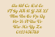 ED Fallora - Vintage Script Font, a Script Font by Emyself Design (Thumbnail 8 of 10)