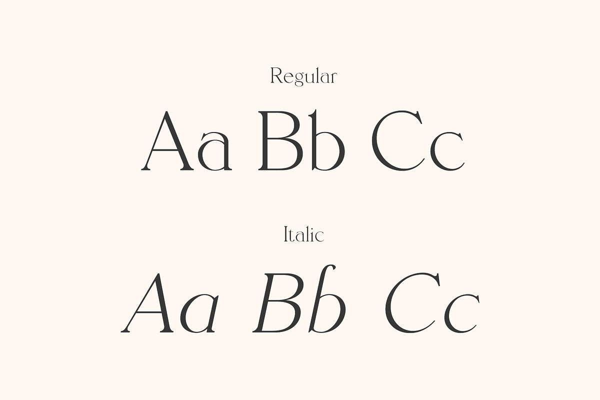 Sangarius // A Chic Serif Typeface, a Serif Font by Megs Lang (Photo 6 of 15)