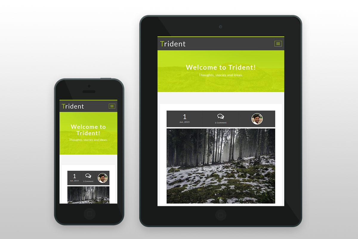Trident - Minimal Ghost Blog Theme, a Websites & App Template by GBJ solution (Photo 2 of 2)