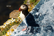 Snow Photoshop Action, an Action Add-On by DESIGNAVO (Thumbnail 5 of 5)