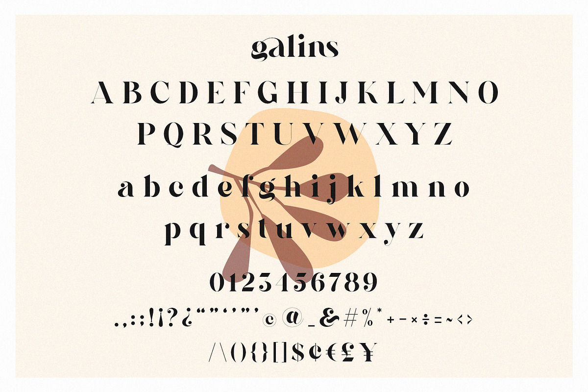 Galins – Ligature Typeface, a Serif Font by BrandSemut (Photo 13 of 13)