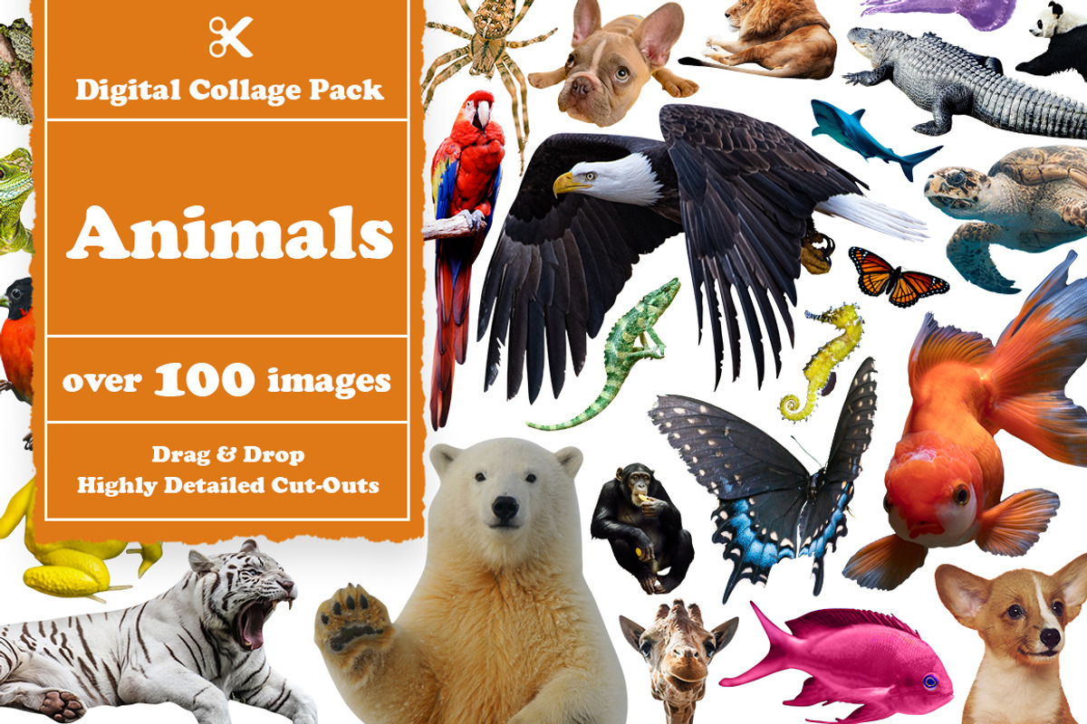 Animals Digital Collage Pack, an Object Graphic by Collage Supply Co (Photo 1 of 3)
