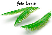 Palm branch, an Environmental 3D Model by AndrewWhite (Thumbnail 1 of 10)