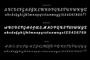 Dallas Print Shop Font Bundle, a Sans Serif Font by Fenotype (Thumbnail 10 of 12)