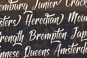 Antapin - Bold Script Font, a Script Font by StringLabs (Thumbnail 9 of 12)