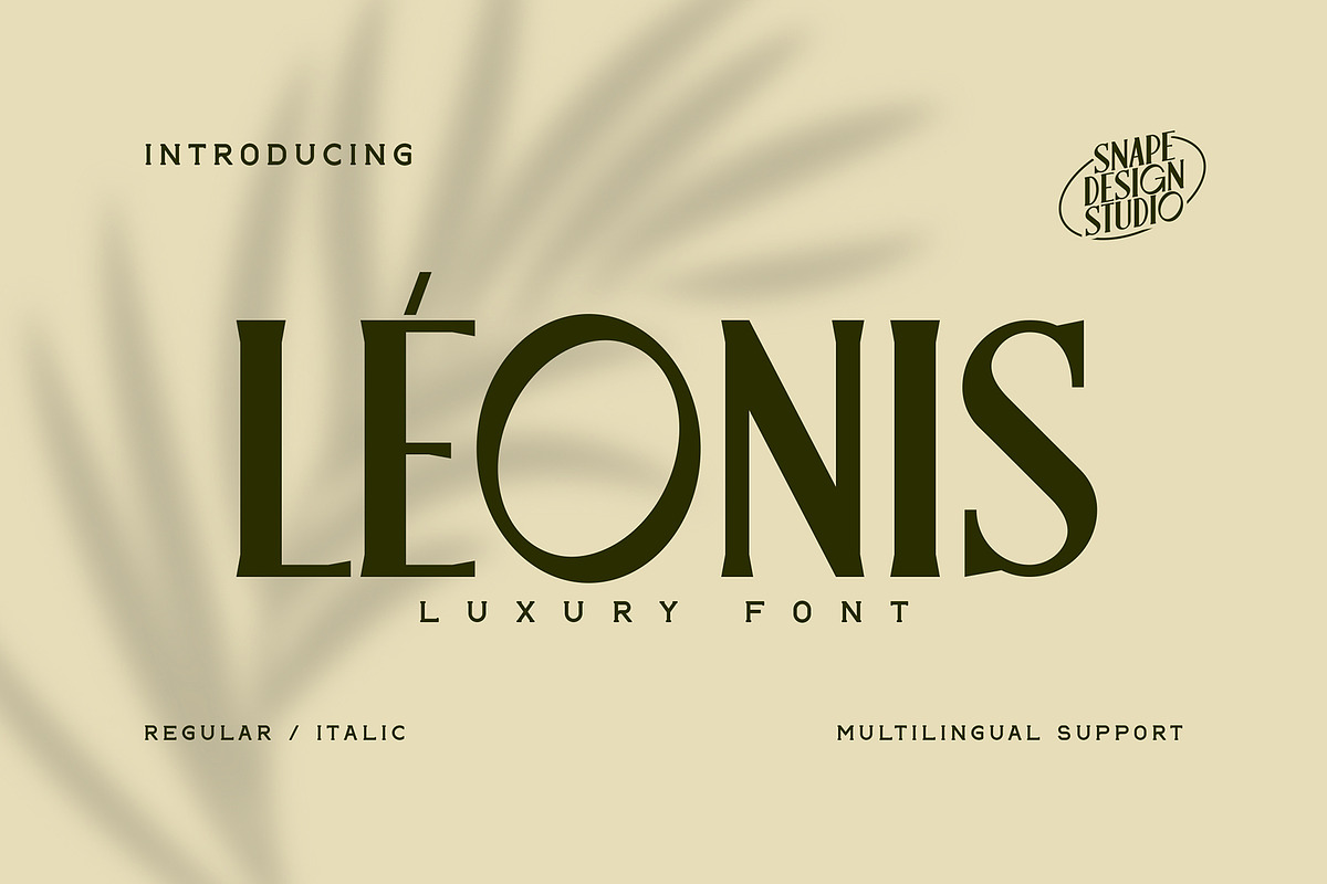 Leonis - Luxury Font, a Serif Font by Snape Design Studio (Photo 1 of 12)