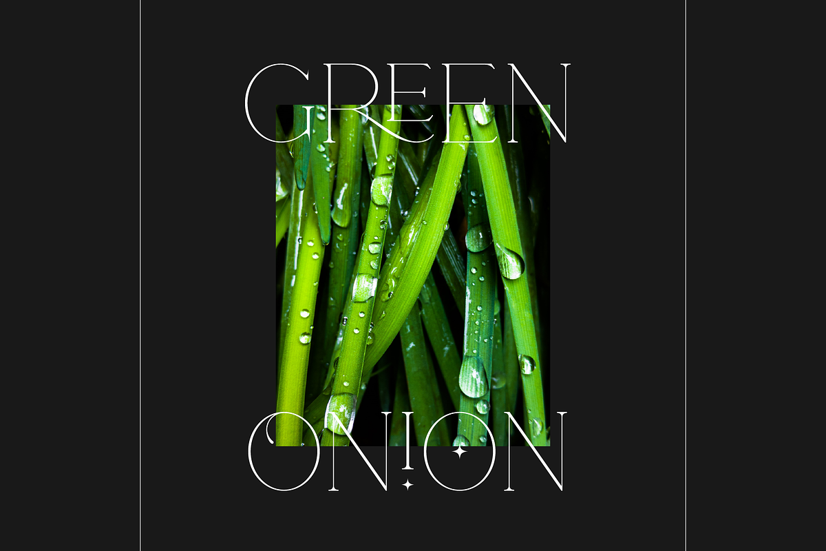 Rotten - Modern & Elegant Serif Font, a Serif Font by Pen Culture (Photo 6 of 13)