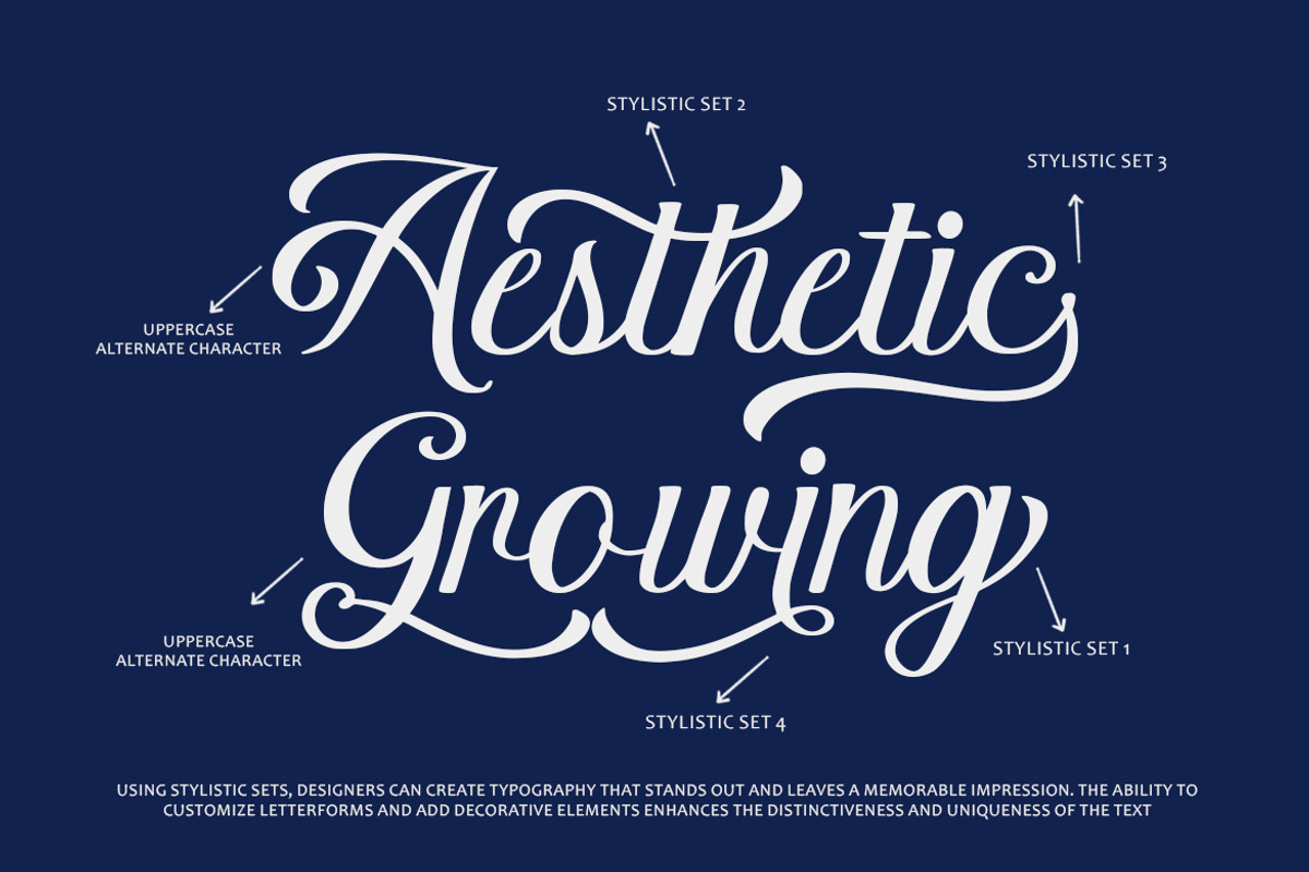 Lastron – Modern Elegant Script Font, a Font by MERCI STUDIO (Photo 2 of 9)