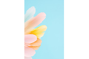 Colorful pastel feathers against, an Abstract Photo by Lermont51