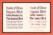Classic Fonts & Illustration Bundle, a Font by Heritage Type Co. (Thumbnail 9 of 12)
