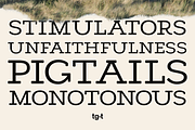 Cendrich - Slab Serif Font, a Slab Serif Font by Tiga Type (Thumbnail 5 of 10)