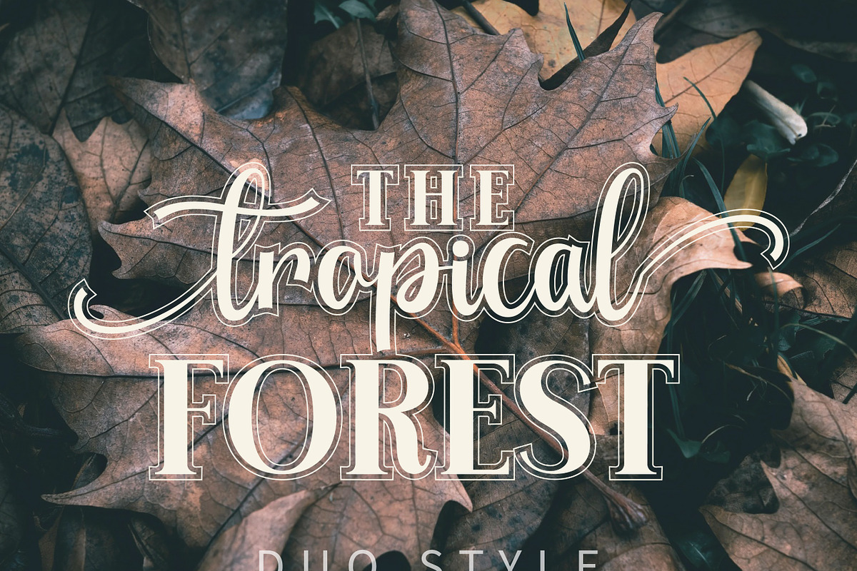 Advance Elegant, a Handwritten Font by Mini_World (Photo 6 of 6)