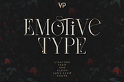 Emotive Type - creative font duo, a Serif Font by VP Fonts (Thumbnail 1 of 17)