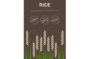 Cereal rice stalks cover poster, a Food Illustration by Vector Tradition