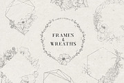 Pencil-drawn flowers, a Decorative Illustration by Damian Roh (Thumbnail 10 of 21)