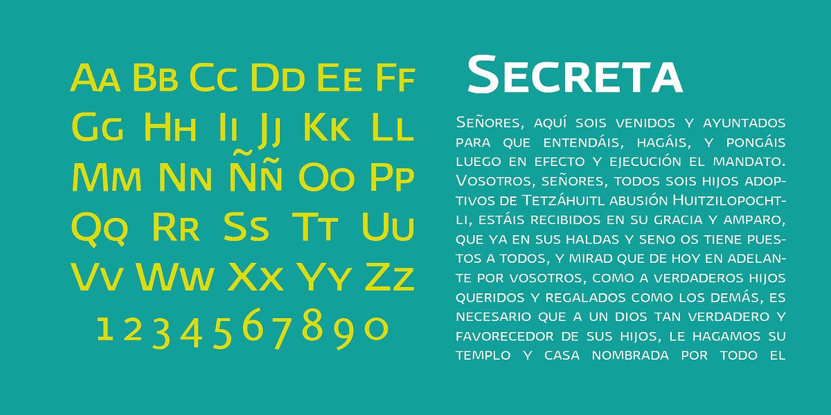 Secreta, a Sans Serif Font by Ixipcalli (Photo 3 of 5)