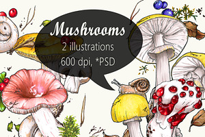 Mushrooms (2 illustrations)