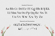 Heart Breaker - Classy Elegant Serif, a Serif Font by Sohel Studio (Thumbnail 9 of 10)