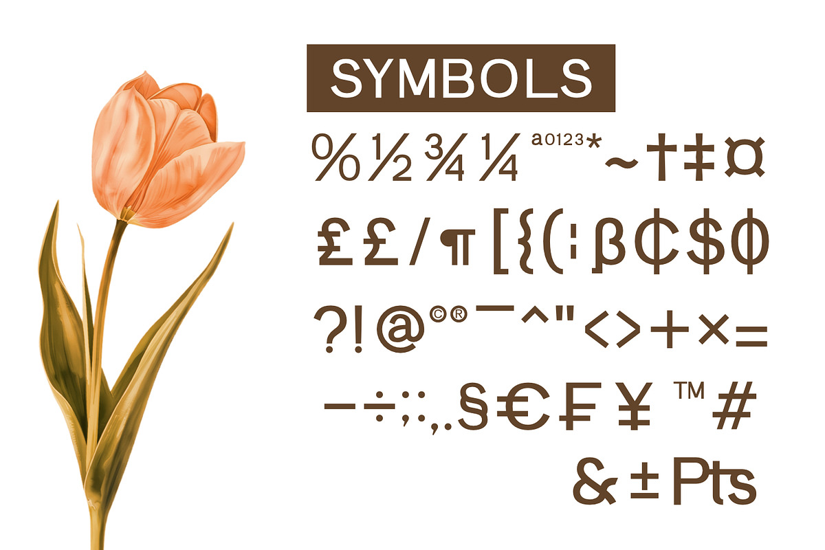 Elemendy, a Sans Serif Font by Rishsketch (Photo 8 of 12)