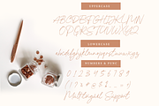 Priscilla Catwrite, a Handwritten Font by NUGS (Thumbnail 9 of 9)