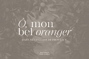 Monarque - Classy Serif Type Family, a Serif Font by The Paper Town (Thumbnail 5 of 15)