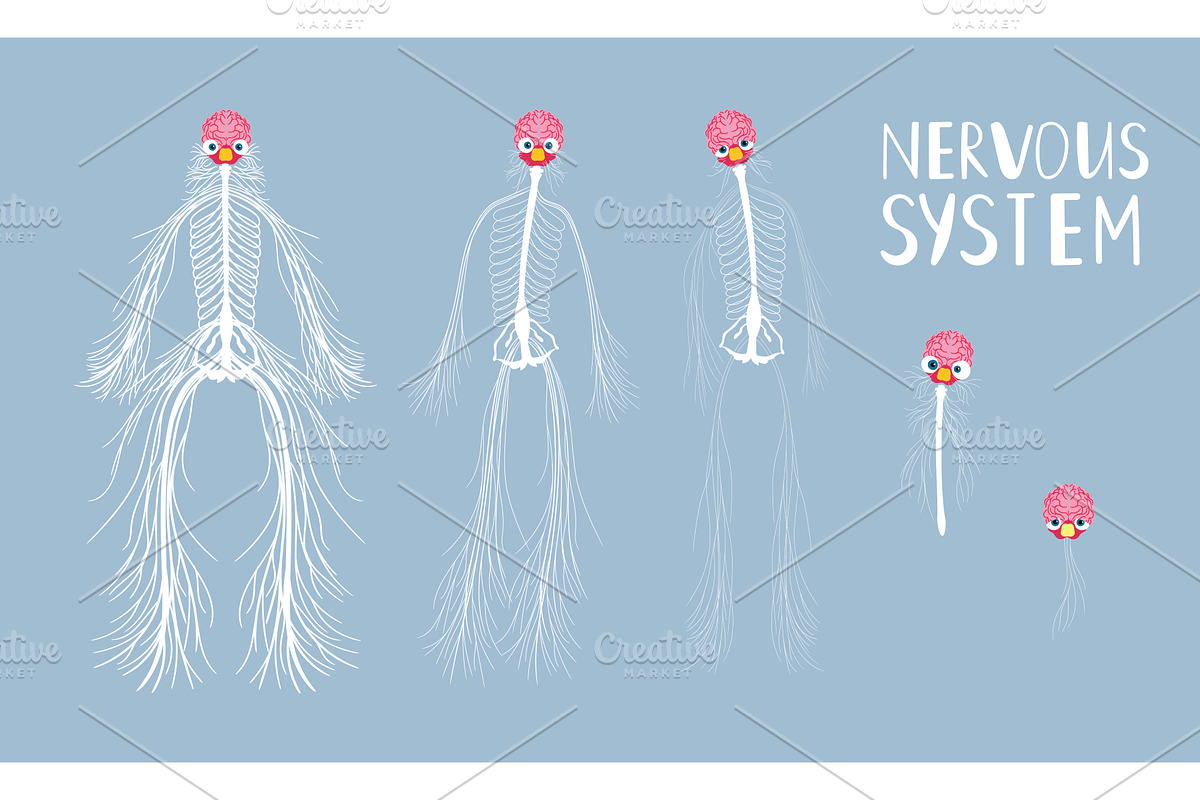 Tired human central nervous system, an Illustration by Stock-Smart-Start