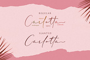 Cherolina-Lovely Elegant Script, a Script Font by Almarkhatype (Thumbnail 13 of 13)