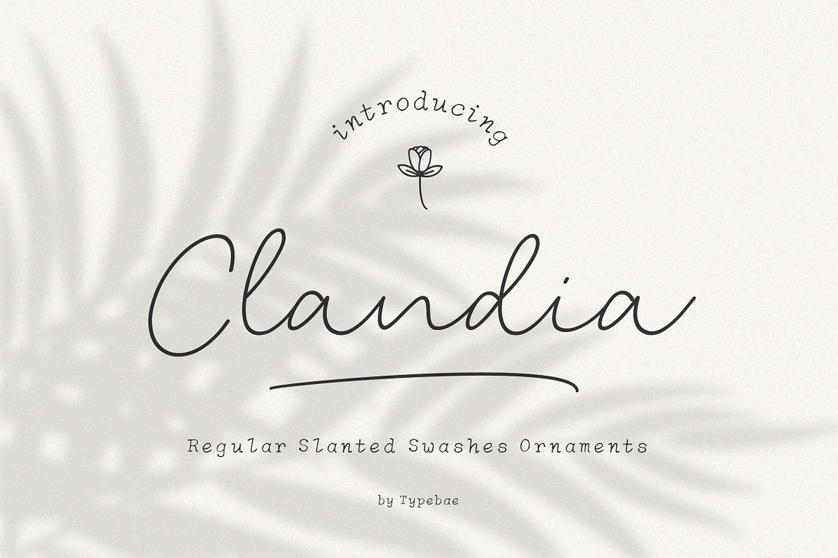 Clandia Monoline Script & Ornaments, a Script Font by Typebae (Photo 1 of 12)