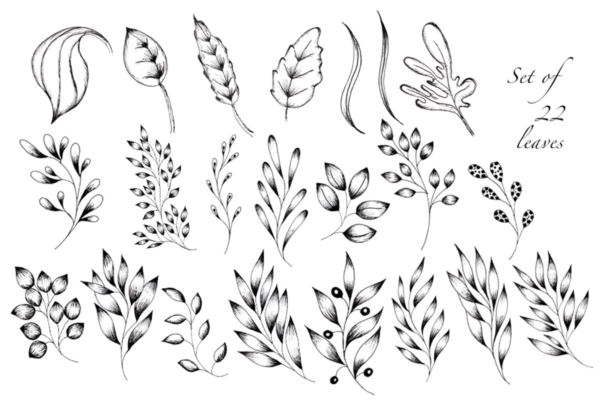 Black and White Botanical Collection, an Illustration by TanataDesign (Photo 3 of 8)