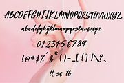 Beauty Rush Font, a Script Font by theinkaffair (Thumbnail 9 of 9)