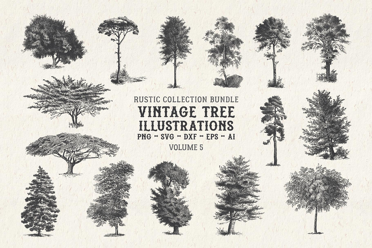 Vintage Tree Vector Bundle Vol. 5, an Object Illustration by Seaquint (Photo 1 of 5)