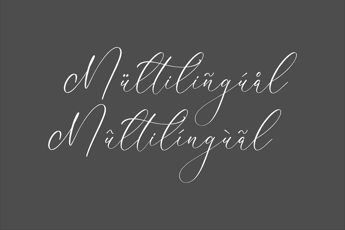 Handesa Mornites Elegant Script, a Script Font by Storytype Studio (Photo 12 of 15)