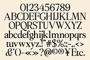 Orvella Font, a Serif Font by Marvadesign (Thumbnail 8 of 12)
