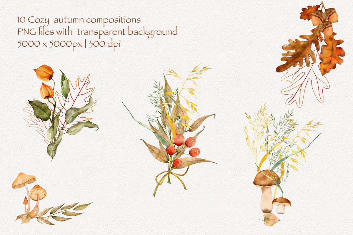 Cozy Autumn Set, a Decorative Illustration by Aurella Art (Photo 11 of 18)