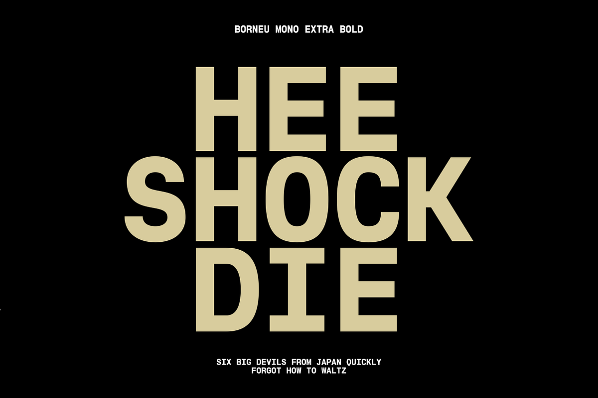 Borneu Mono Regular, a Sans Serif Font by BorneuStd (Photo 9 of 10)