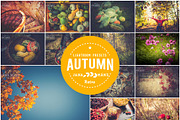 10 Autumn Vintage Lightroom Presets, a Plug-in Add-On by Jana Mänz Photography (Thumbnail 4 of 4)