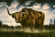 300 Professional Lightroom Presets, an Action Add-On by Madison Colt Studios (Thumbnail 22 of 29)