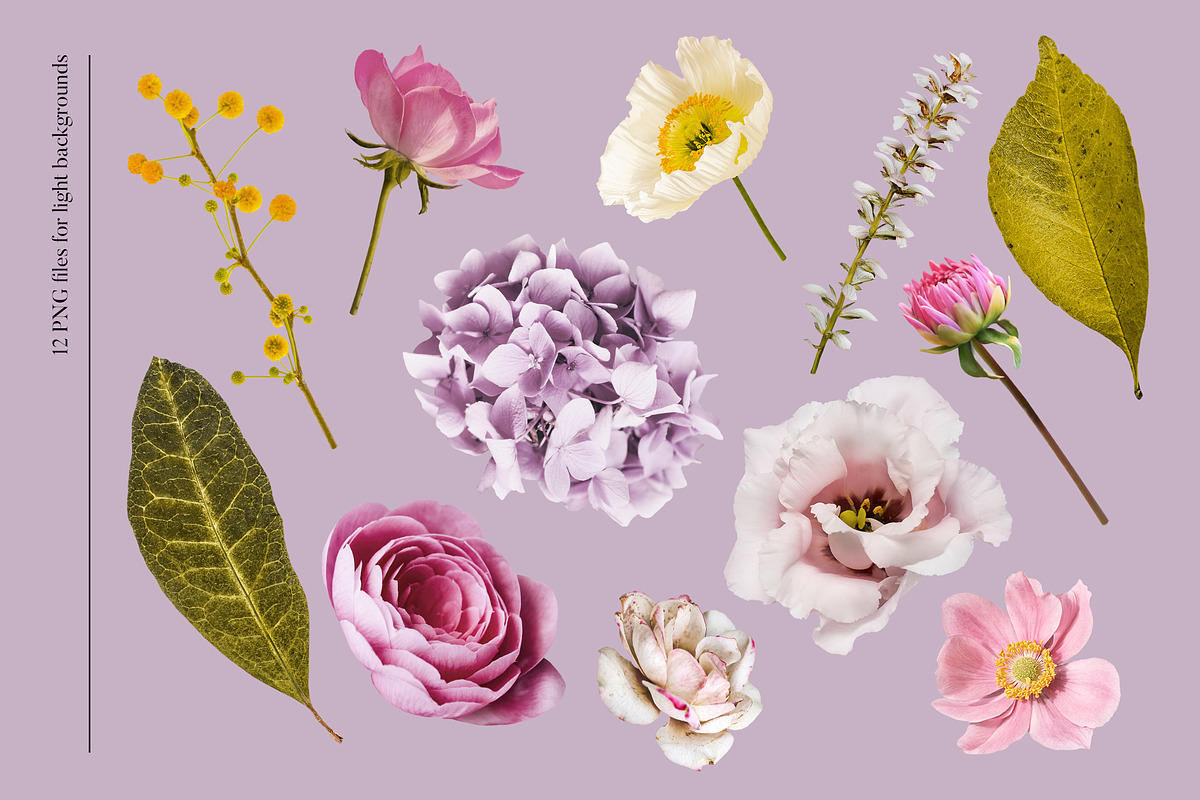 Isolated real flowers clipart set, an Object Graphic by The Graphic Parade (Photo 3 of 14)
